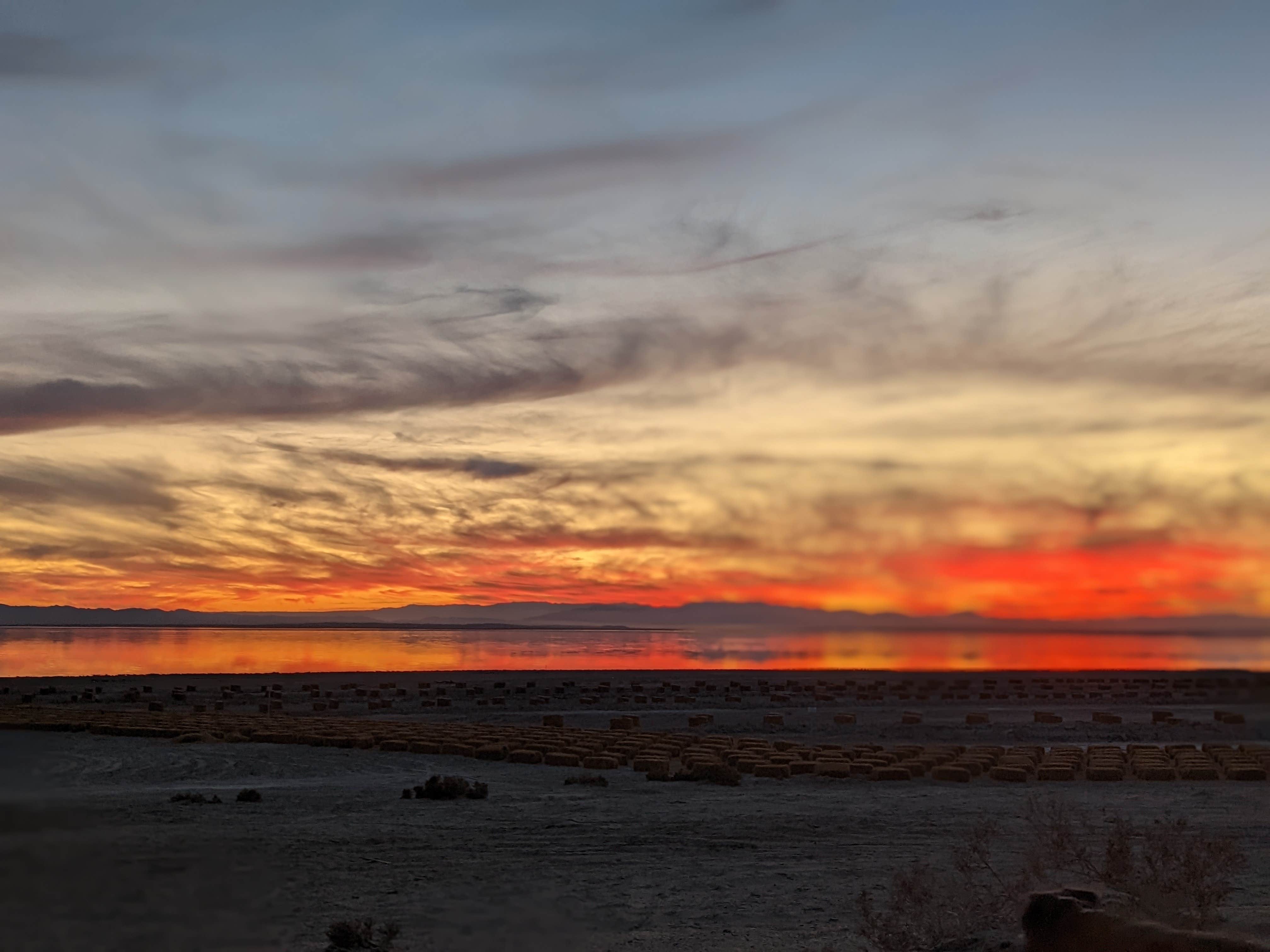 Camper-submitted photo at Bombay Beach - Salton Sea State Rec Area near Niland, CA