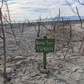 Review photo of Bombay Beach  - Salton Sea State Rec Area by Laura M., November 24, 2022