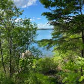 Review photo of Mt Desert Narrows Camping Resort by Nancy M., November 25, 2022