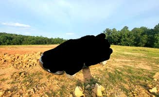 Zed F.'s photo of camping with pets at Camp Shelby Dispersed Camping near Foxworth, MS