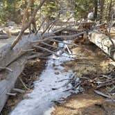 Review photo of Idyllwild Campground by Megan B., September 18, 2018