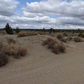 Review photo of Silver Creek Marsh by Kelly H., November 25, 2022