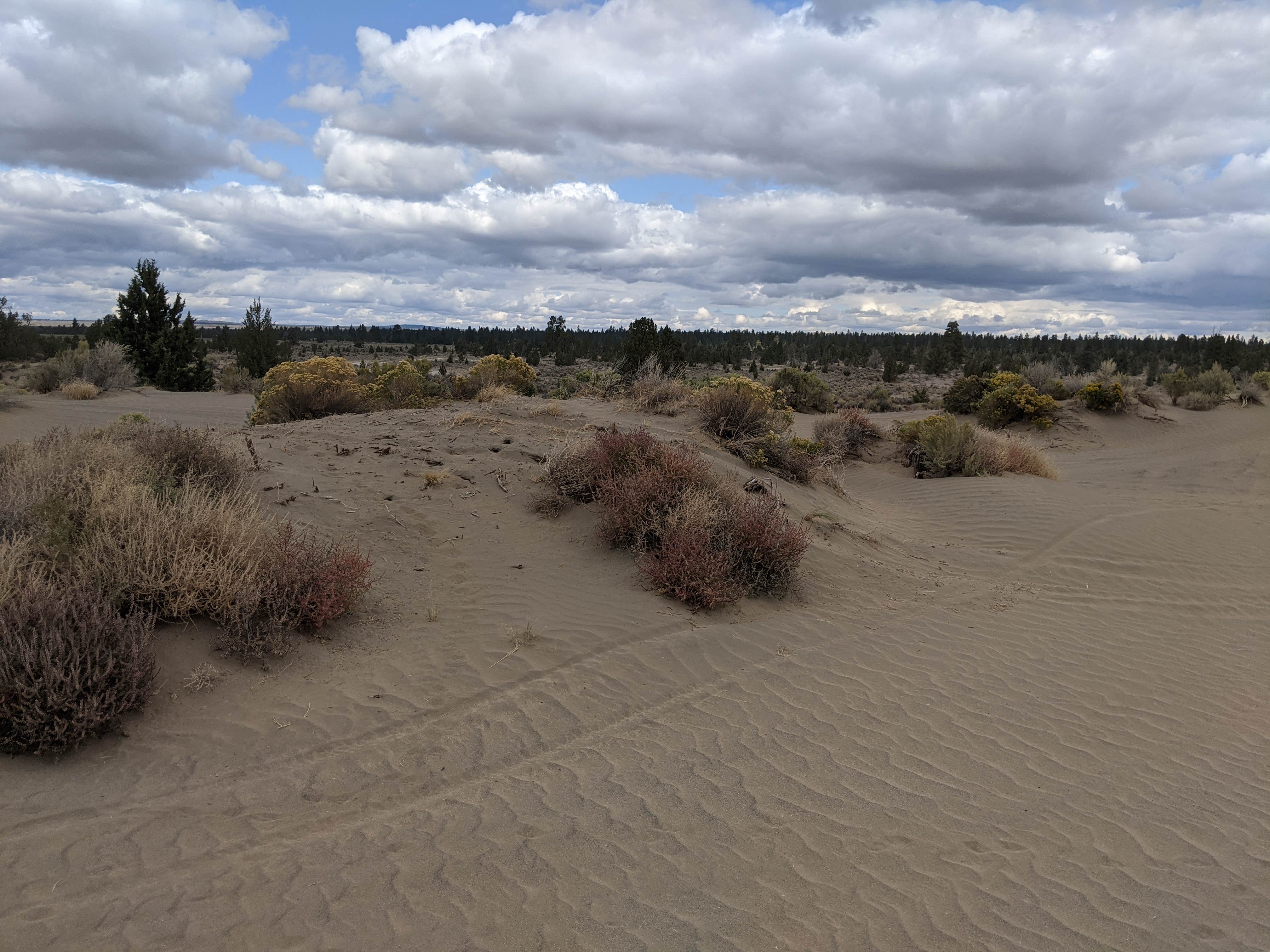 Camper submitted image from Silver Creek Marsh - 2