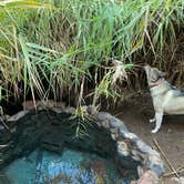 Review photo of Sheeps Bridge BLM Area - Arizona by Tyler M., November 25, 2022