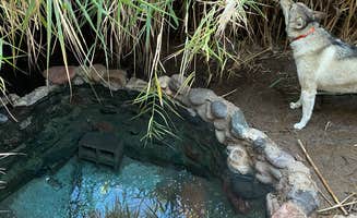 Tyler M.'s photo of camping with pets at Sheeps Bridge BLM Area - Arizona near New River, AZ
