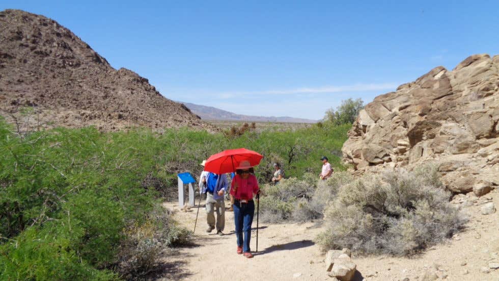 Camper submitted image from Guadalupe's State Line Nevada/California Camp Ground - 5