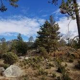 Review photo of Mount San Jacinto State Park Campground by Megan B., September 18, 2018