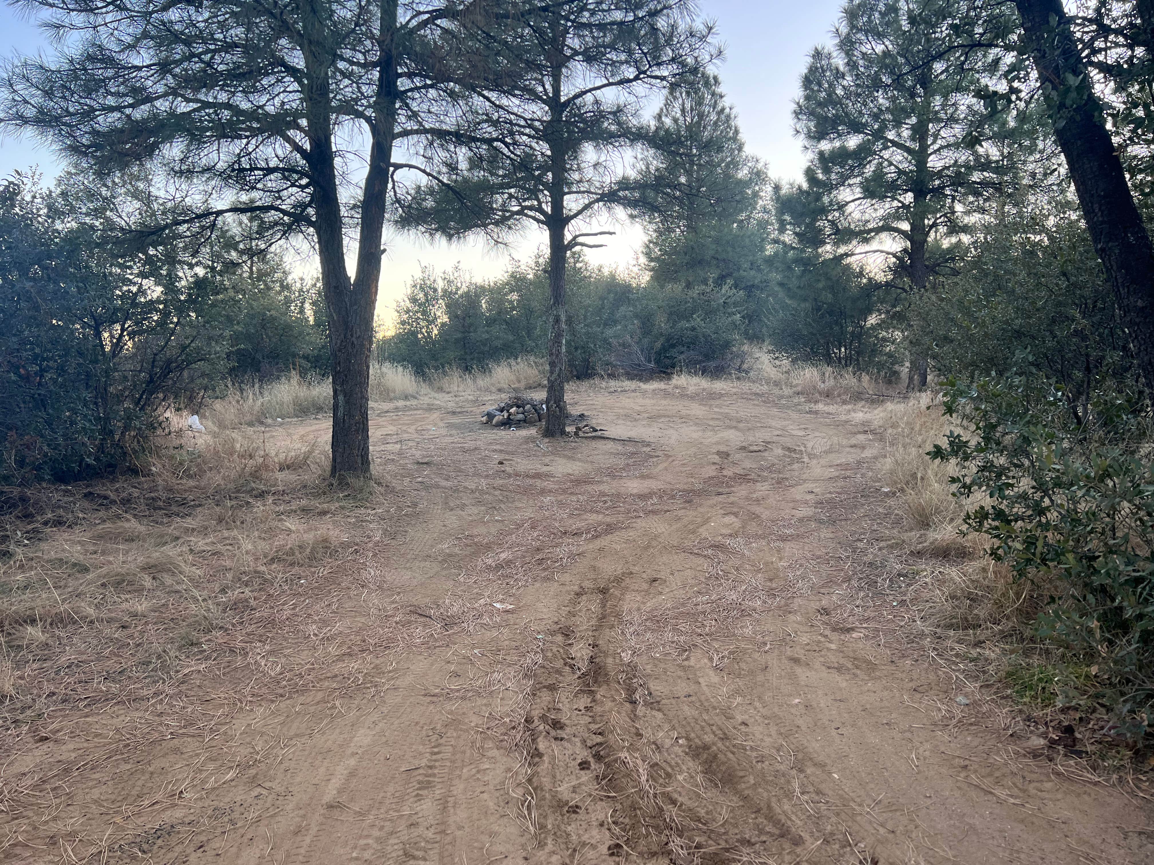 Camper-submitted photo at Prescott Basin - Ponderosa Park Road Dispersed Camping near Prescott, AZ