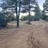 Review photo of Prescott Basin - Ponderosa Park Road Dispersed Camping by Aliza  N., November 26, 2022