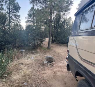 Camper-submitted photo from Prescott Basin - Ponderosa Park Road Dispersed Camping