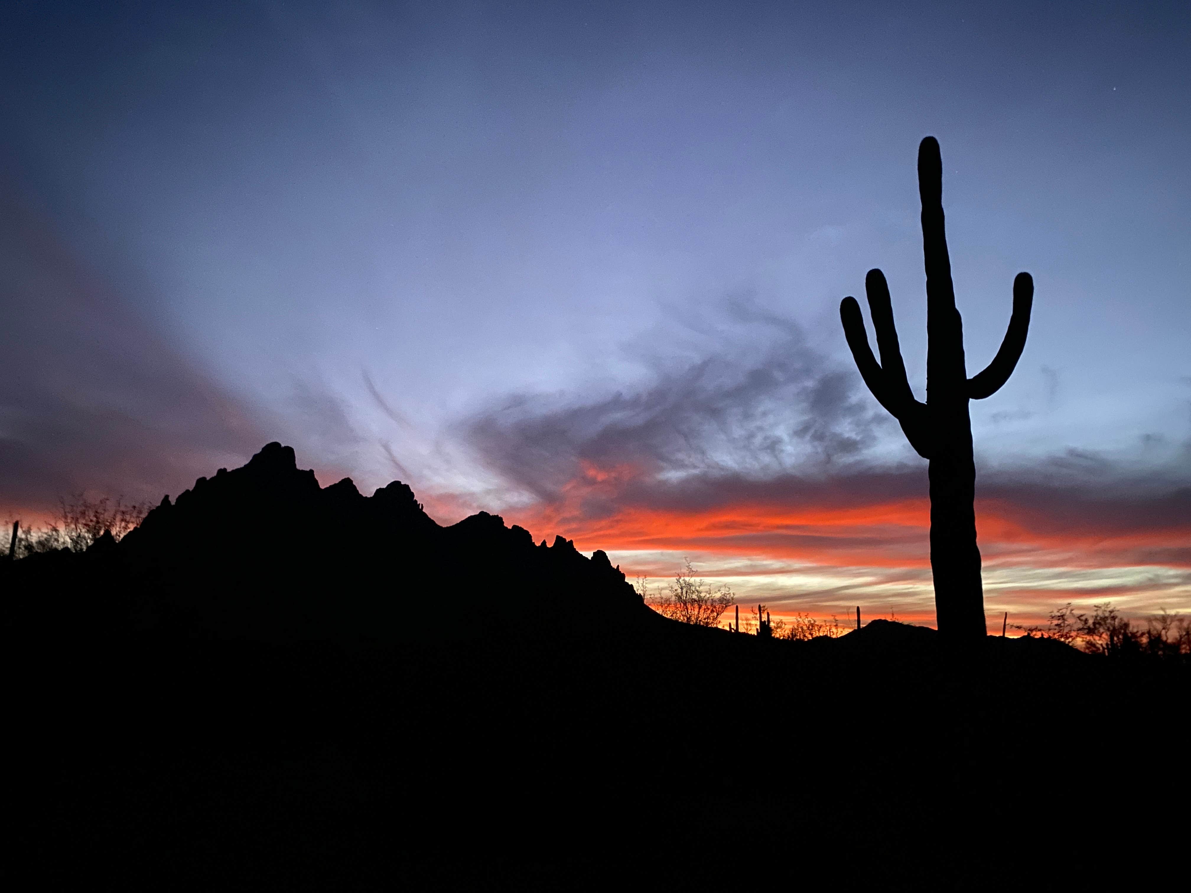 Taylor's photo of a dispersed camping area at Ironwood Forest BLM National Monument Pump Station Dispersed near Casa Grande, AZ