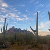 Review photo of Ironwood Forest BLM National Monument Pump Station Dispersed by Taylor , November 26, 2022