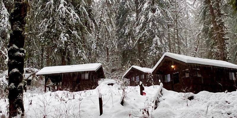 Camper submitted image from Smith Creek Village — Silver Falls State Park