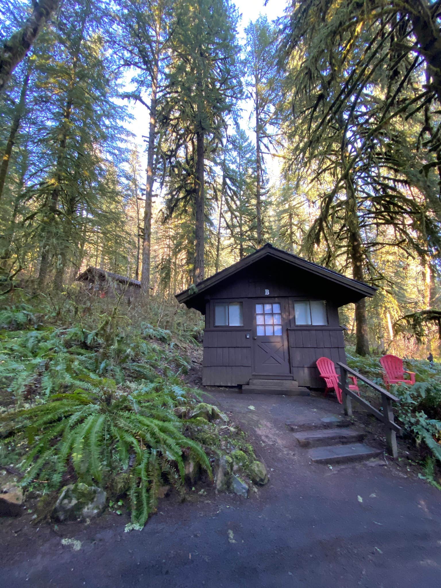 Camper submitted image from Smith Creek Village — Silver Falls State Park - 2