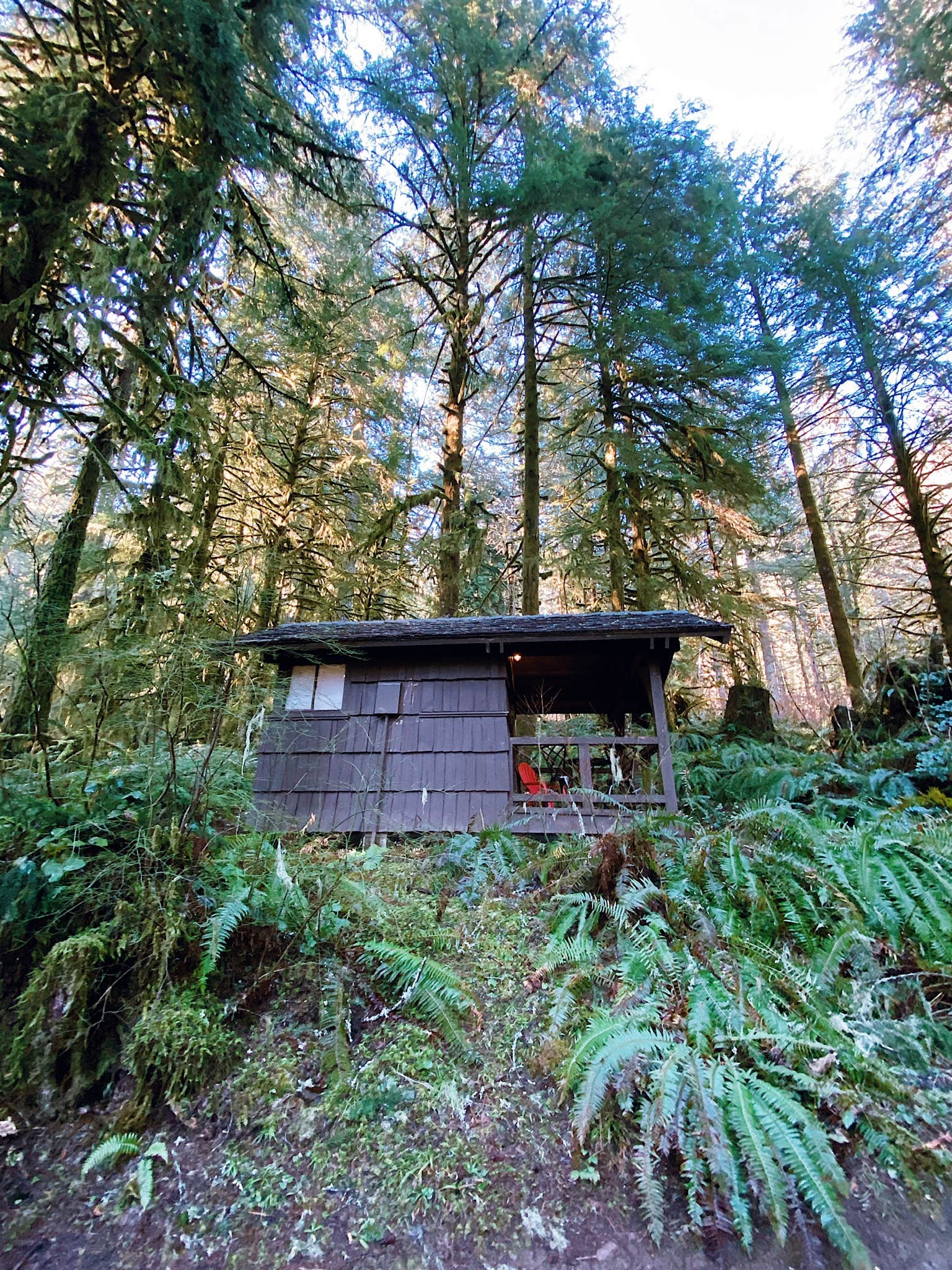 Camper-submitted photo at Smith Creek Village — Silver Falls State Park near Rickreall, OR