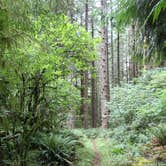 Review photo of Horse Creek Campground — Siuslaw National Forest by Jill R., September 18, 2018