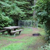 Review photo of Horse Creek Campground — Siuslaw National Forest by Jill R., September 18, 2018