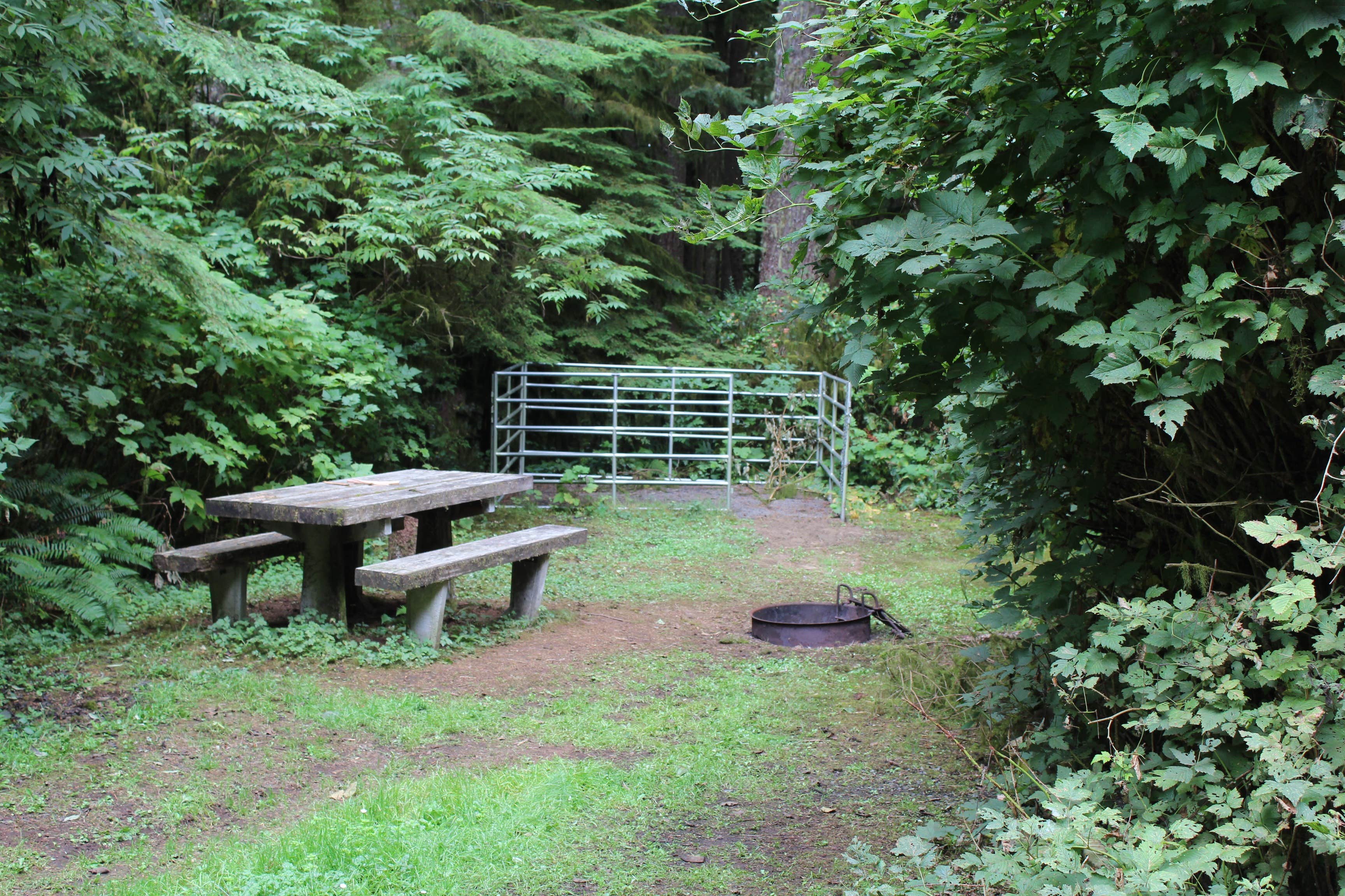 Camper submitted image from Horse Creek Campground — Siuslaw National Forest - 5