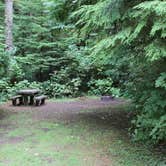 Review photo of Horse Creek Campground — Siuslaw National Forest by Jill R., September 18, 2018