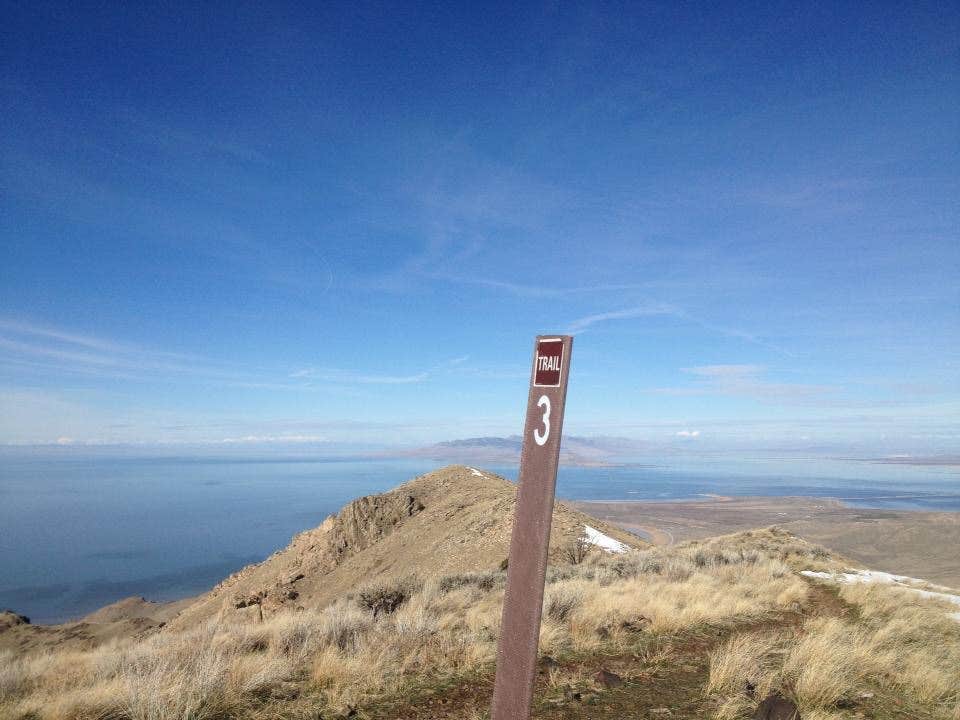 Camper-submitted photo at White Rock Bay Campground — Antelope Island State Park near Uinta-Wasatch-Cache National Forest