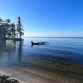 Review photo of Fontainebleau State Park Campground by TylerWende O., November 26, 2022