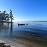 Review photo of Fontainebleau State Park Campground by TylerWende O., November 26, 2022