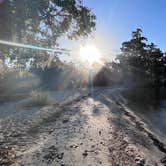 Review photo of Fontainebleau State Park Campground by TylerWende O., November 26, 2022