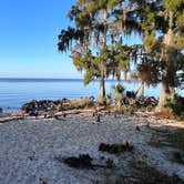 Review photo of Fontainebleau State Park Campground by TylerWende O., November 26, 2022