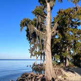 Review photo of Fontainebleau State Park Campground by TylerWende O., November 26, 2022