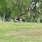 Review photo of Yogi Bear's Jellystone Park in Fredericksburg Wine Country by Llora J., November 26, 2022