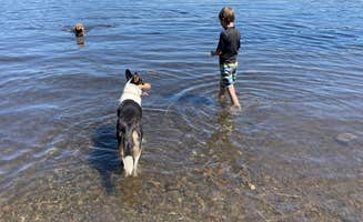 Kelly H.'s photo of camping with pets at Shelter Cove Resort & Marina near Chemult, OR