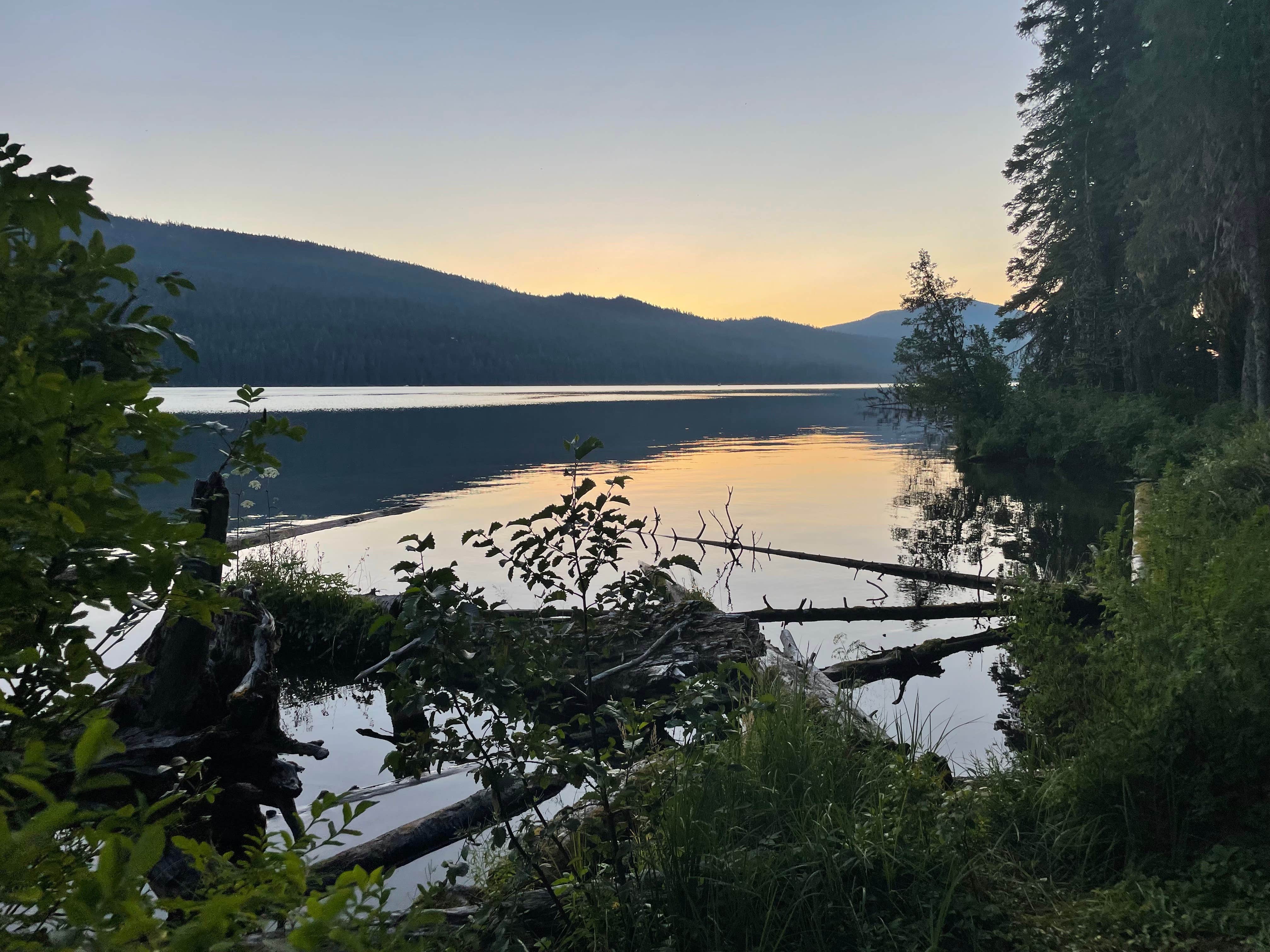 Camper submitted image from Shelter Cove Resort & Marina - 5