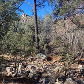 Review photo of Pinery Canyon Road Dispersed Camping - Coronado National Forest by Monte W., November 26, 2022