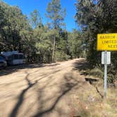 Review photo of Pinery Canyon Road Dispersed Camping - Coronado National Forest by Monte W., November 26, 2022
