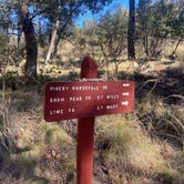 Review photo of Pinery Canyon Road Dispersed Camping - Coronado National Forest by Monte W., November 26, 2022