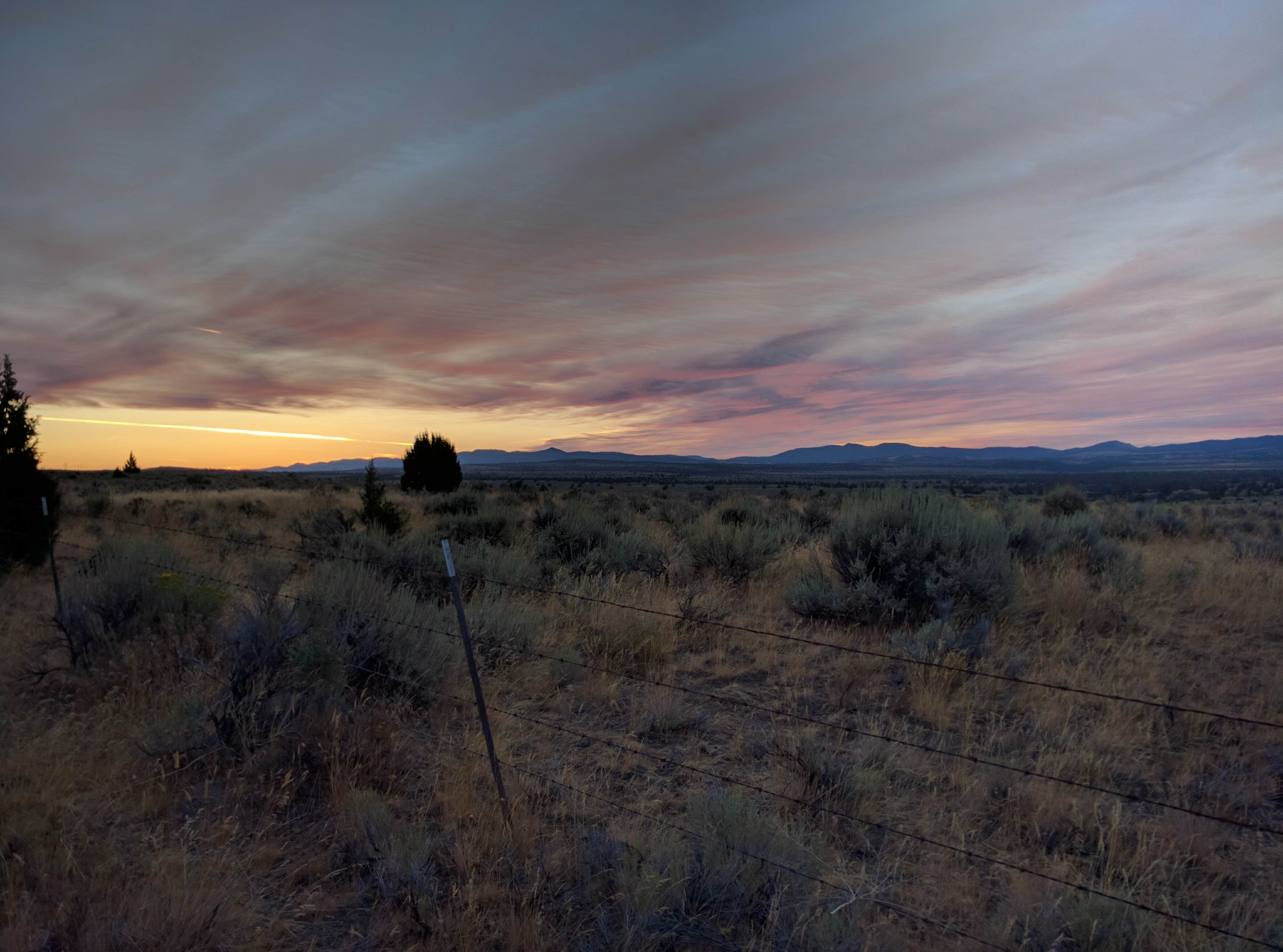 Camper submitted image from Crooked River National Grasslands Dispersed Camping - 2