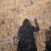 Review photo of Crooked River National Grasslands Dispersed Camping by Kelly H., November 26, 2022