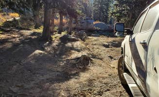 Zanna H.'s photo of tent camping at Seven Devils Campground near Lostine, OR
