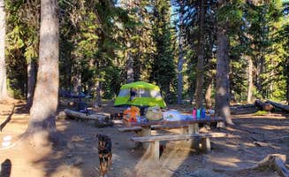 Zanna H.'s photo of camping with pets at Seven Devils Campground near New Meadows, ID