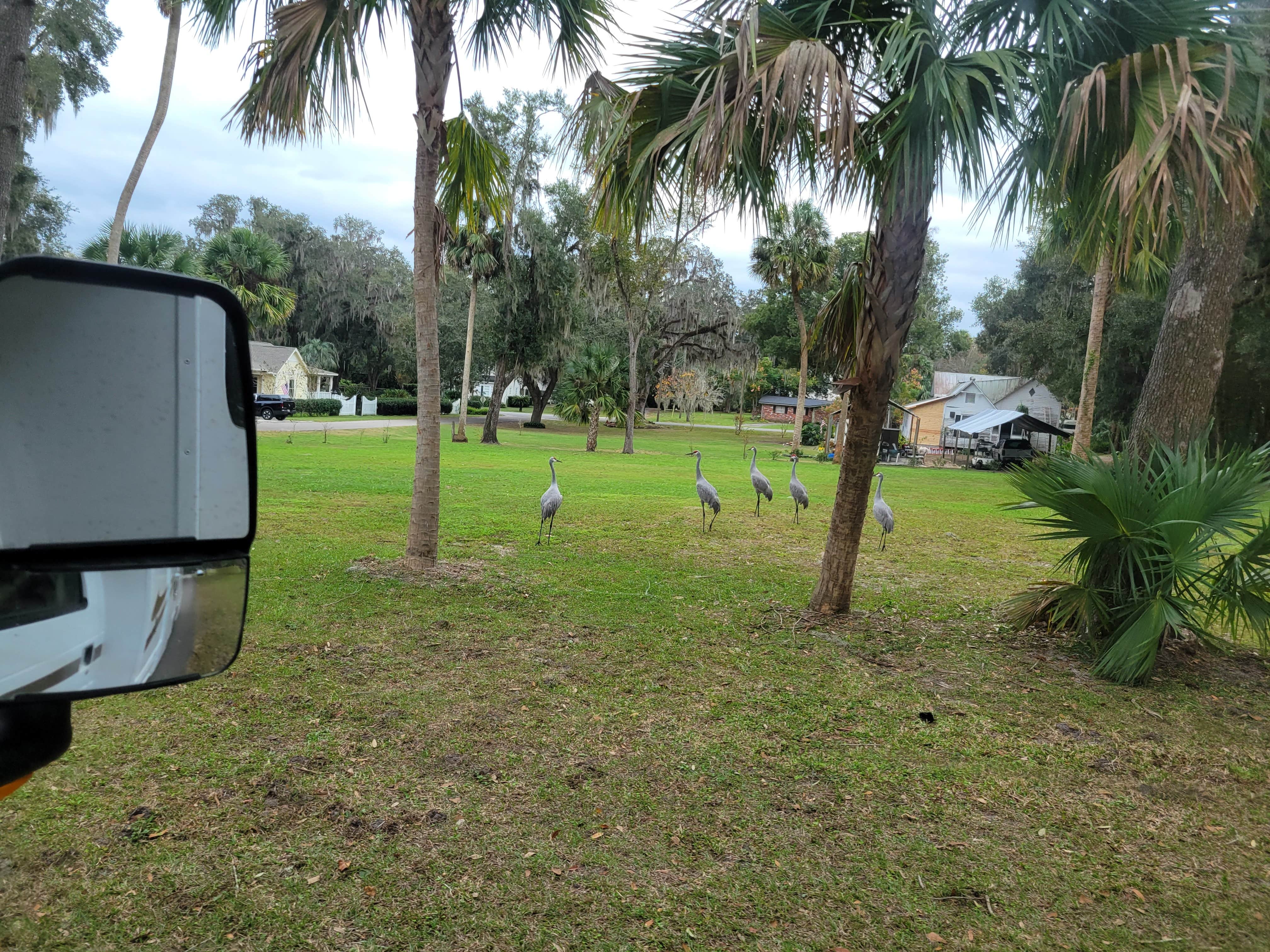 Camper-submitted photo at Grand Lake near Reddick, FL