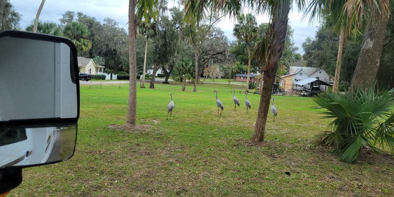 Camper submitted image from Grand Lake