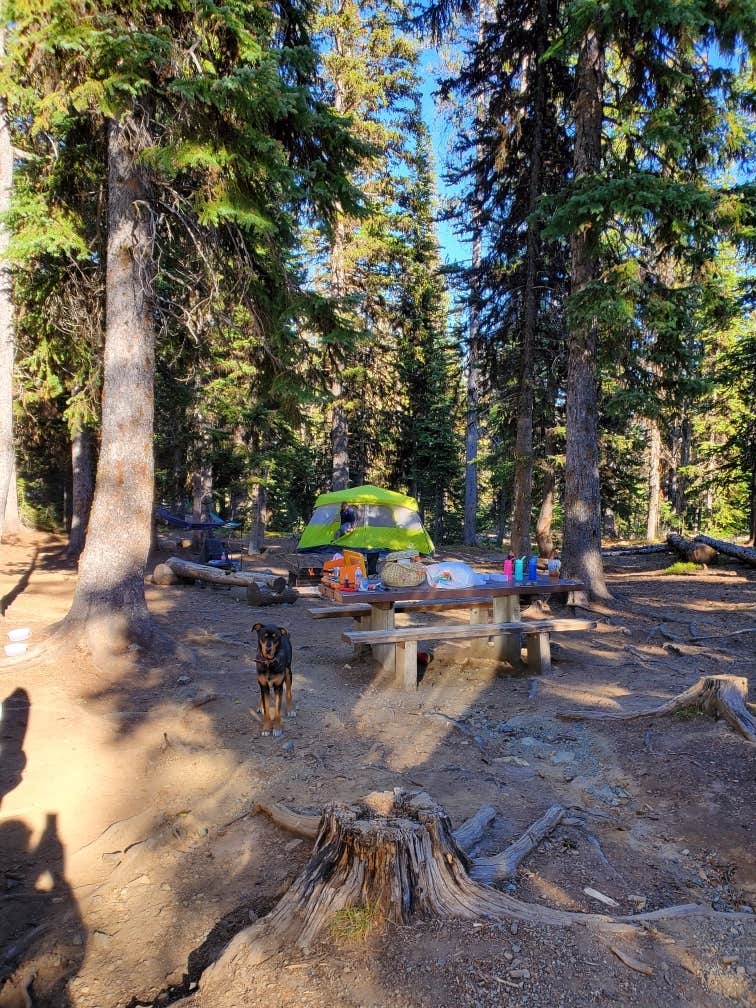 Camper-submitted photo at Seven Devils Campground near Pollock, ID