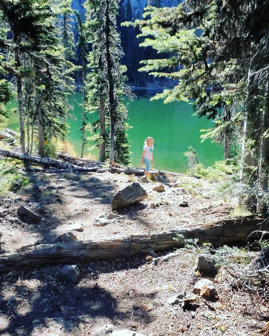 Camper-submitted photo at Seven Devils Campground near Pollock, ID