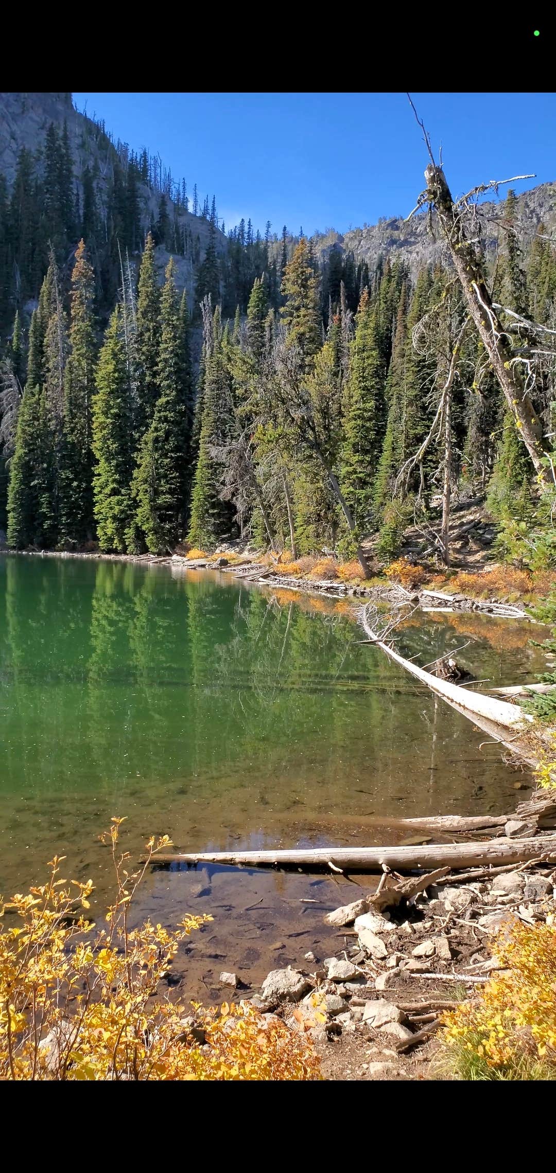 Camper-submitted photo at Seven Devils Campground near Pollock, ID