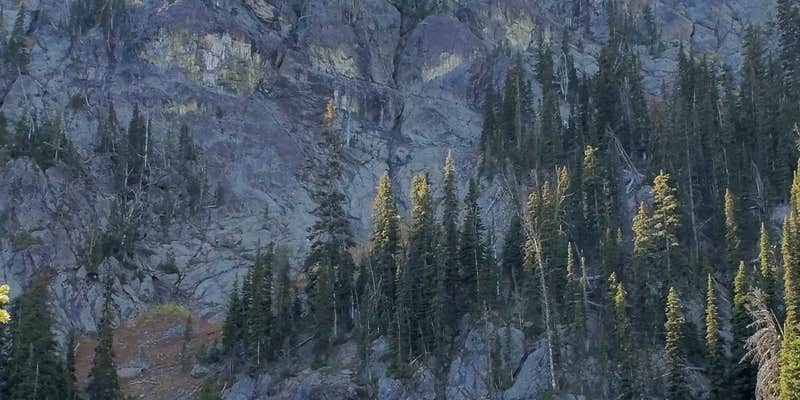 Camper submitted image from Seven Devils Campground