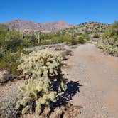 Review photo of Peralta Canyon / Gold Canyon Dispersed Camping - PERMANENTLY CLOSED by Beth M., November 26, 2022