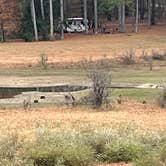 Review photo of Tishomingo State Park Campground by TylerWende O., November 27, 2022