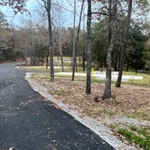 Review photo of Tishomingo State Park Campground by TylerWende O., November 27, 2022