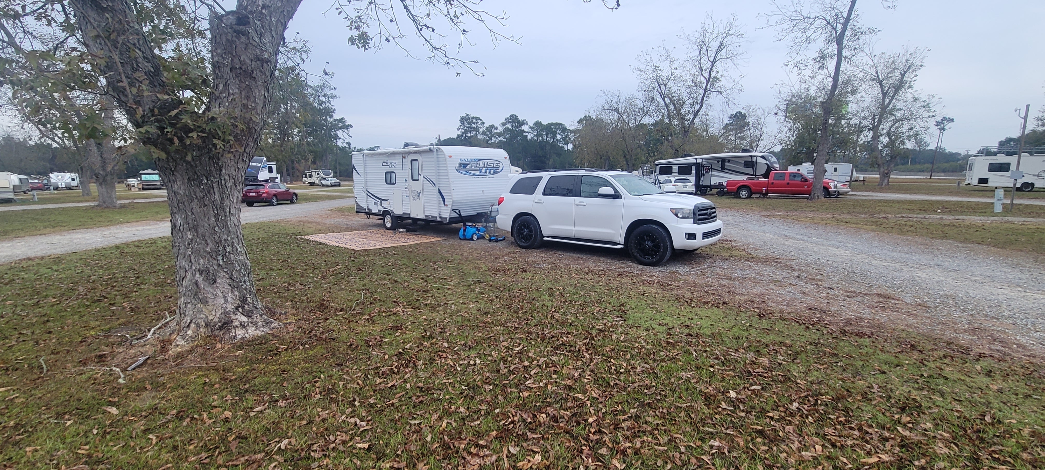 Camper submitted image from Cecil Bay RV Park - 2