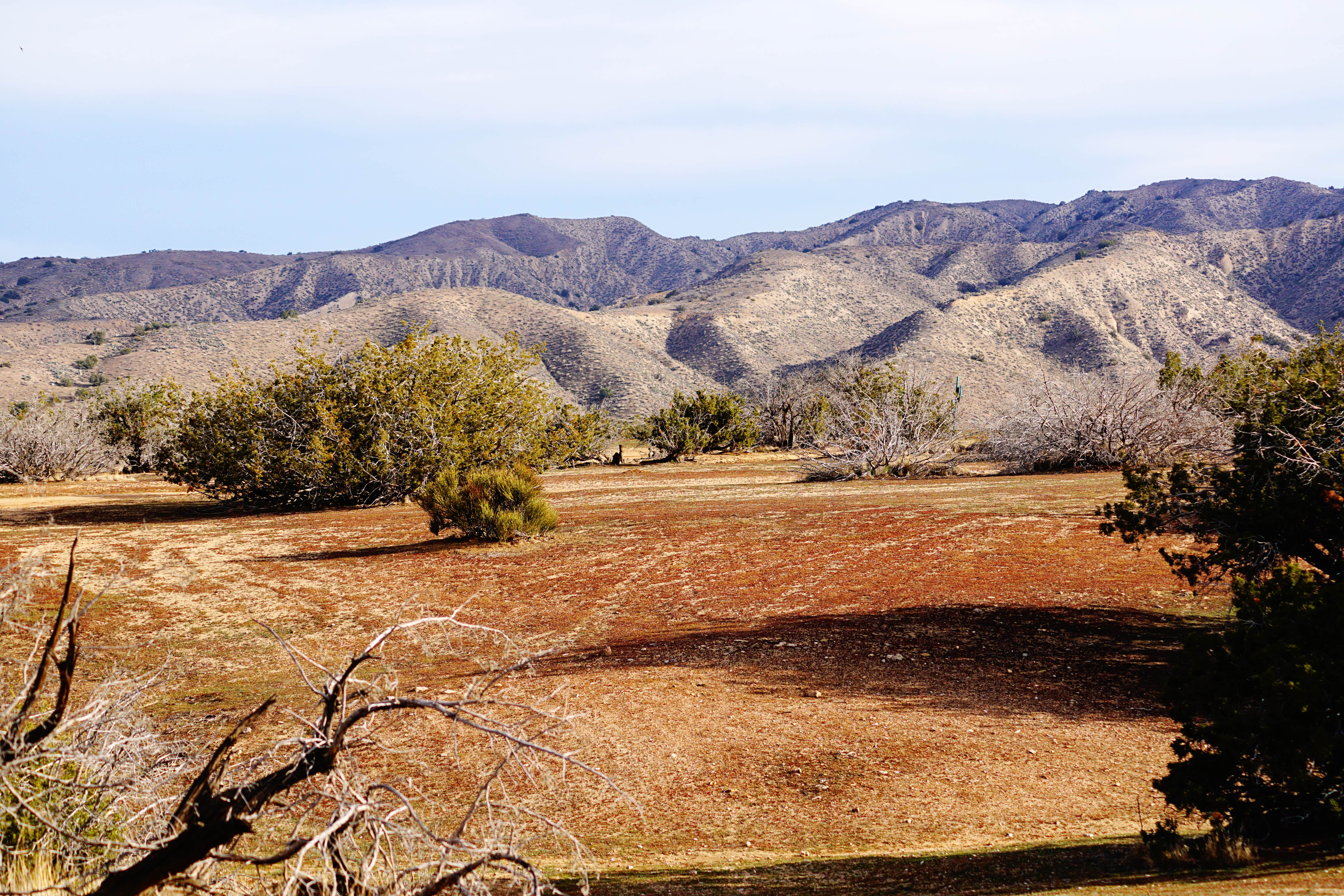 Camper-submitted photo at Songdog Ranch near New Cuyama, CA